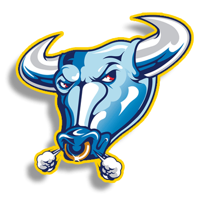 northwestern-logo.png
